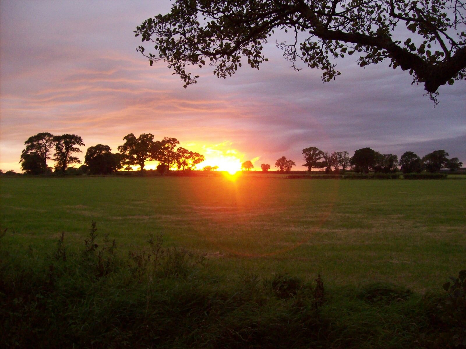 Naturist Visit to the Dorothy Clive Gardens