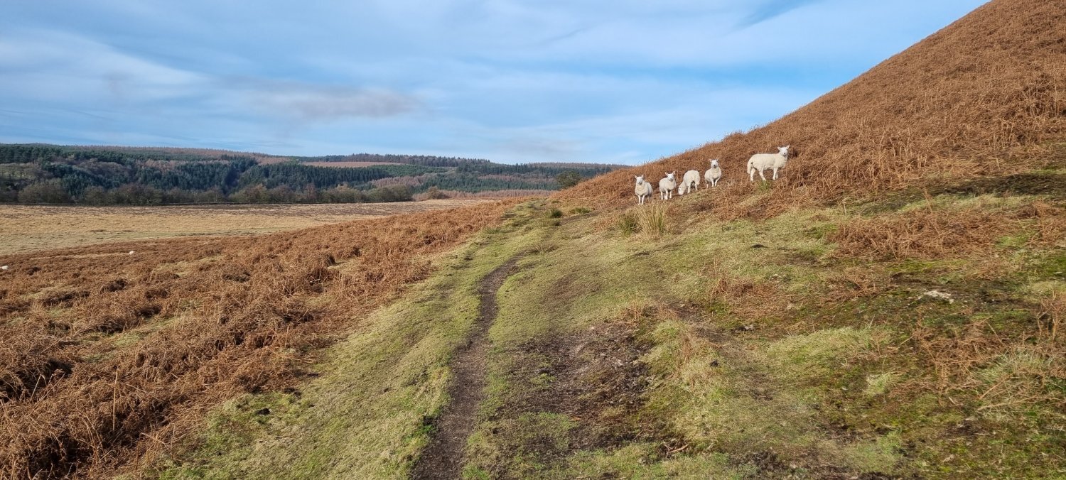 Yorks E Mids Walks World Naked Walking Day Levisham Yorkshire And East Midlands