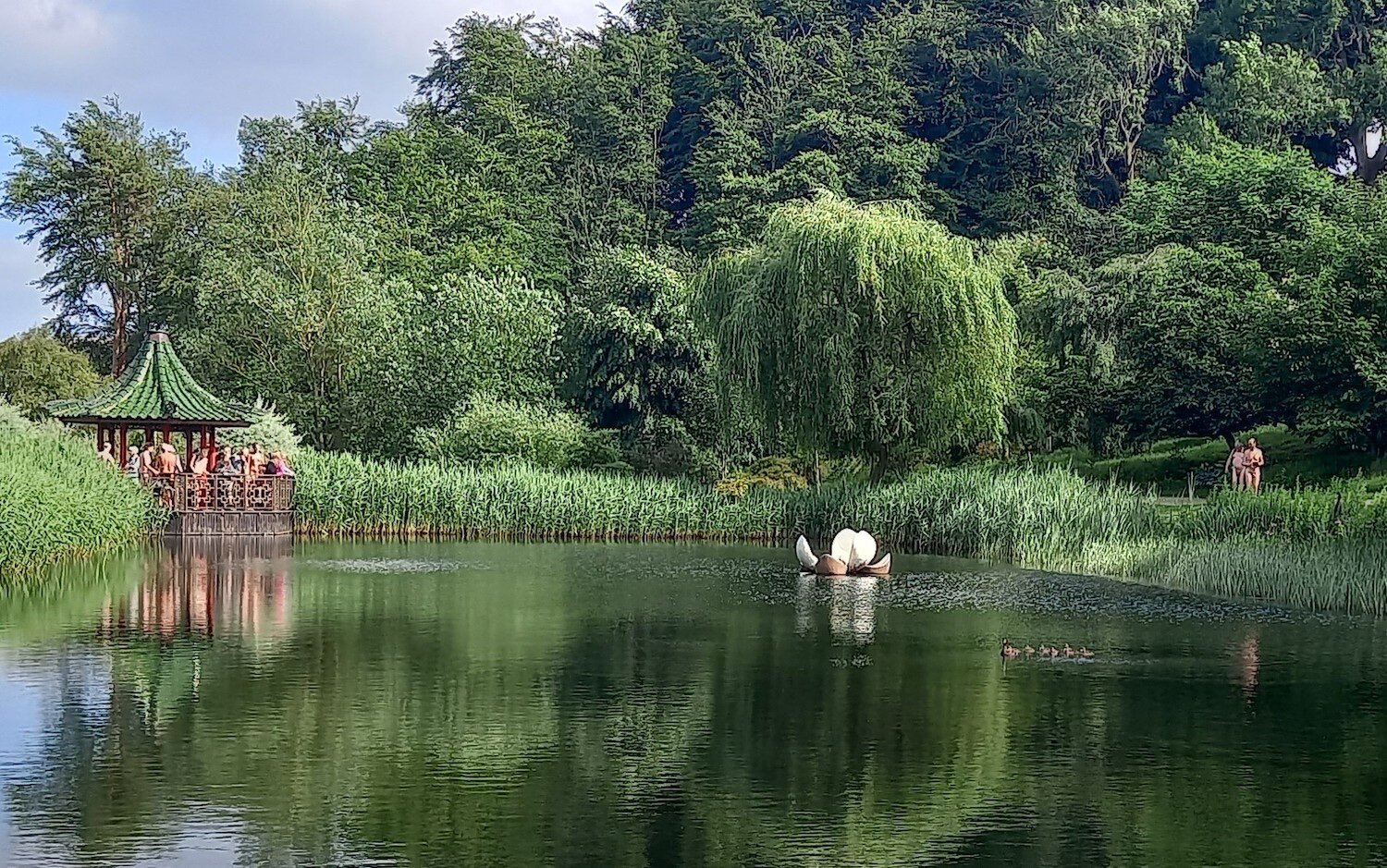 Himalayan Garden Naked Heart Walk A Grand Day Out In Ripon Bhf British Naturism