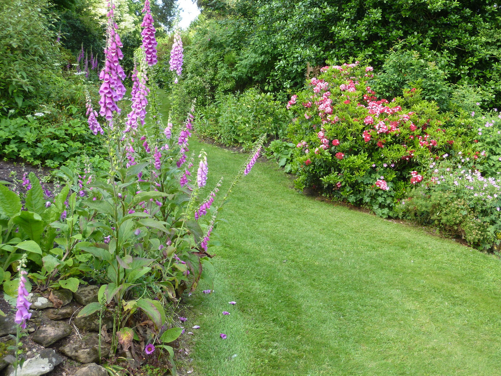 A Naturist Visit to the Dorothy Clive Gardens